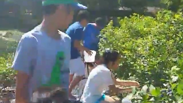 Blueberries pick in MN farm..2017 смотреть онлайн