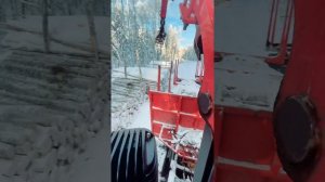 Погрузка леса