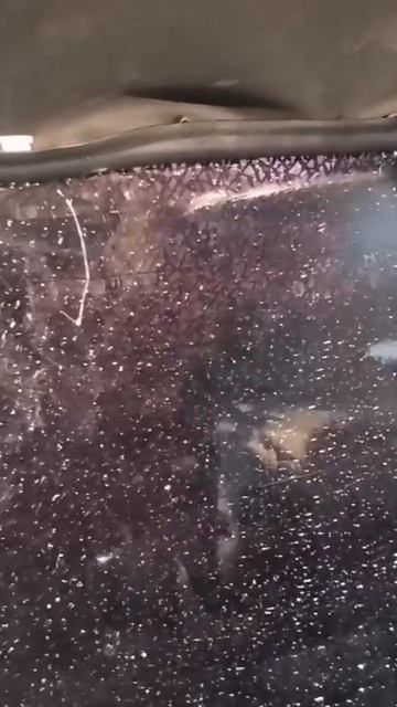 разбил стекло на Нива Пикап