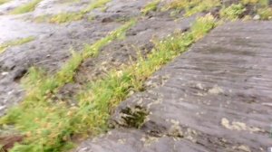 рыбалка на спиннинг, с начёвкой