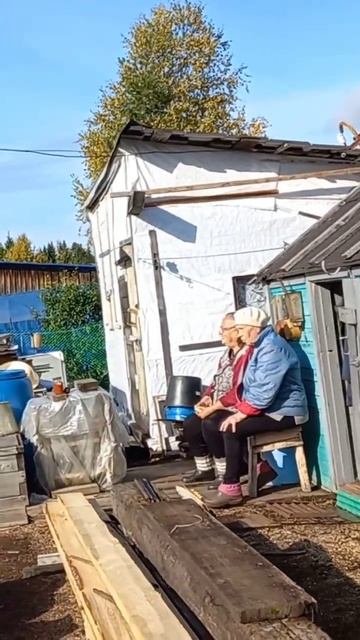 какают под подсолнух. см полный Влог от 13.09.22 хата за бутылку