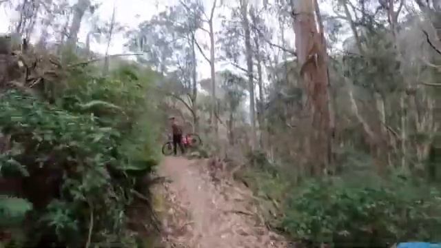 Pacifica MTB Crack and Triple X   SD 480p