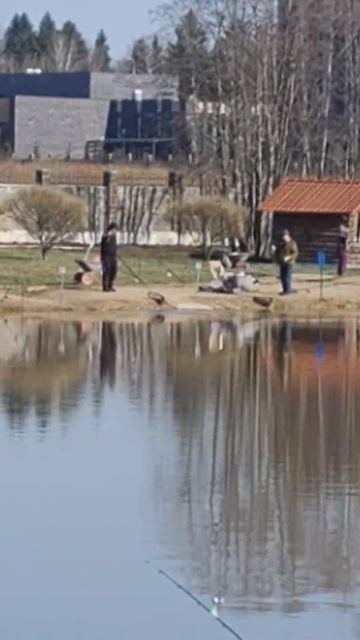 Форель смотреть онлайн