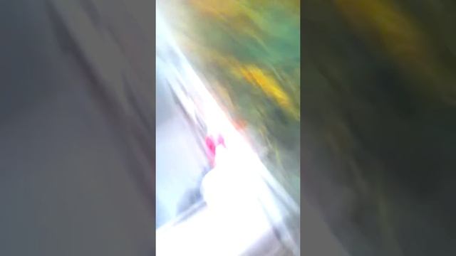 11 июня 2017 г. смотреть онлайн