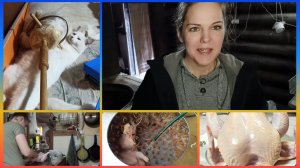 Забой бройлеров в одно женское лицо!