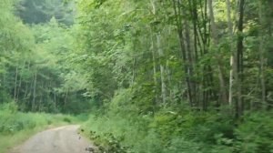 Дорога к рыбачьим местам. Река Обильная. Нанцы. Приморье.