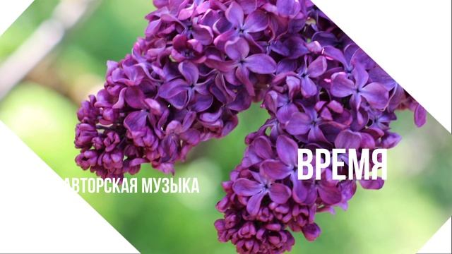 Авторская музыка: Время.