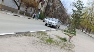 "Плевать нам на автокран! - У нас автоматик не по Фен-шую!.."