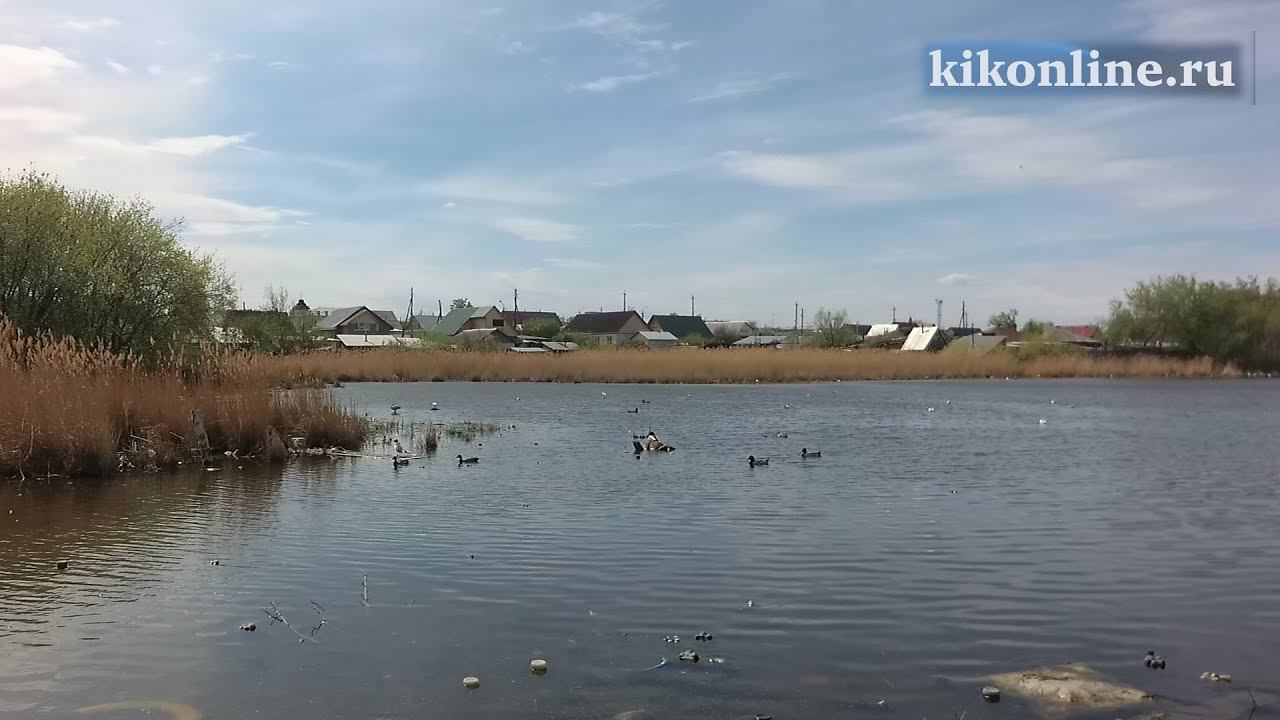 Предполагаемые объекты благоустройства