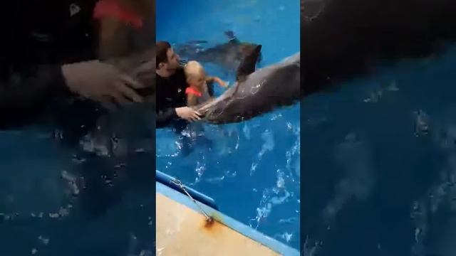 Внучка в Геленджике смотреть онлайн