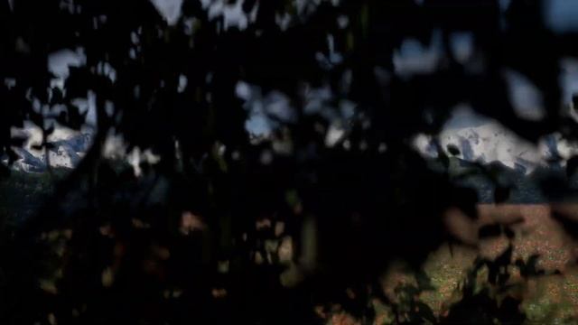 Я подарю тебе ландыши #природа смотреть онлайн