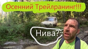Осенний трейлранинг !!! Бег через дикий лес!!! #бег #трейл #трейлраннинг #спорт