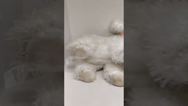 Собачка на поводке ходит,издает звуки смотреть онлайн