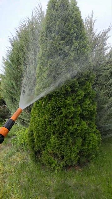 Авто полив газона из КРЕСТОВИНЫ для елки #diy смотреть онлайн