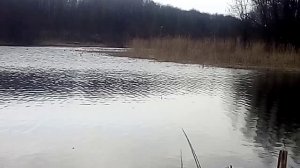 РЫБАЛКА ВЕСНОЙ