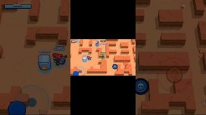 Зебра ит ТВ