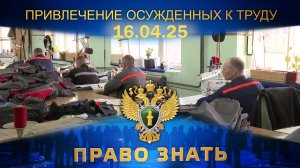 Привлечение осужденных к труду. Право знать