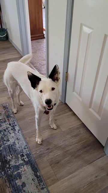 spoiled ACD 2 смотреть онлайн