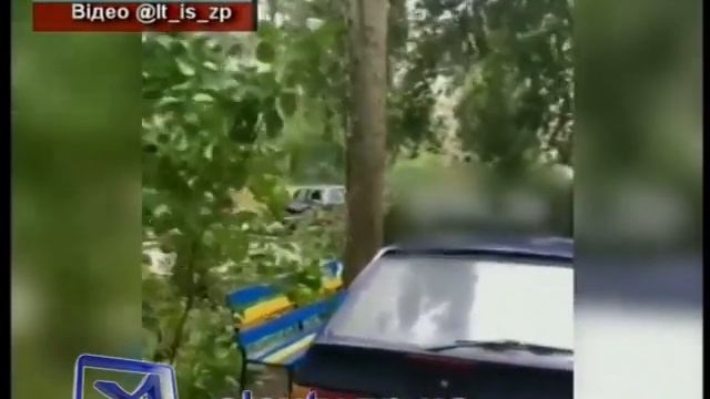 Упал тополь смотреть онлайн