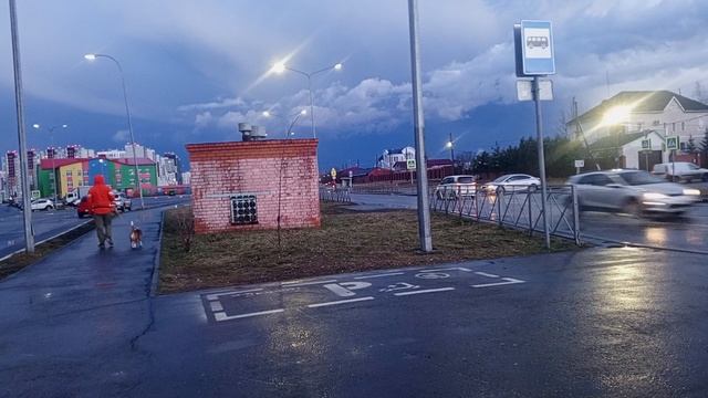 1000017801.mp4 #весна #Тюмень