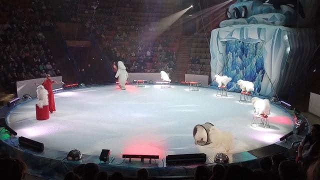 Весёлые собачки