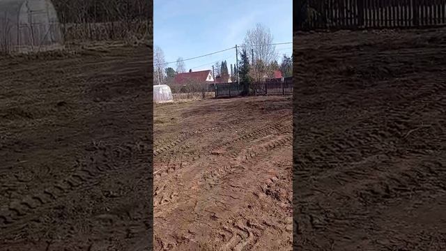Чисто