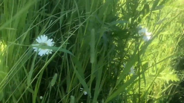 24 июня 2020 смотреть онлайн