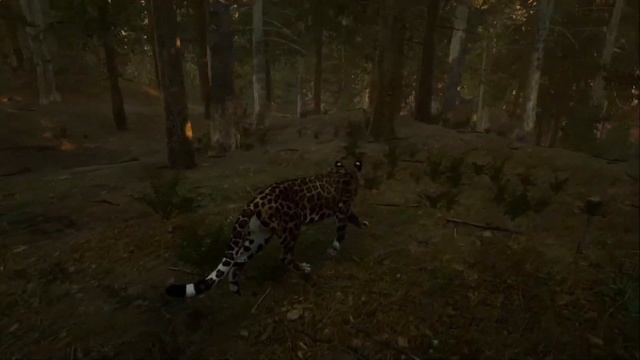 CHEGOU NOVOS MODS NO PATH OF TITANS | SHOWCASE SMILODON & COUGAR смотреть онлайн
