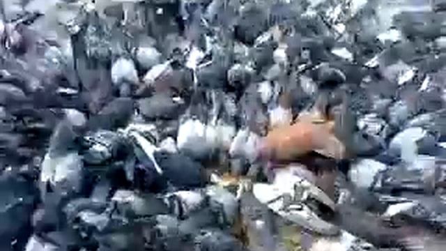 Голуби... смотреть онлайн