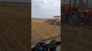 Уборка льняной соломы ( пожнивных остатков) с поля.