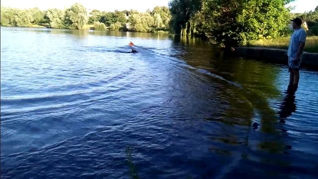 VID 20180707 184023 смотреть онлайн