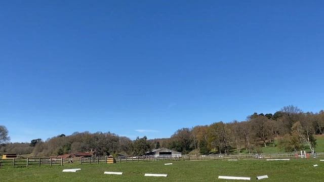 Vlog 92 - Деревня Compton-английская ферма, усыпальница художников и прогулка по весеннему лесу смотреть онлайн