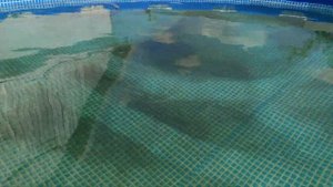 Робот Пилосос INTEX 28005 (ZX300)