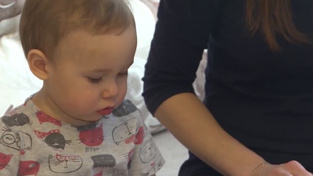 В Вологодской области молодые мамы смогут пройти бесплатное переобучение смотреть онлайн