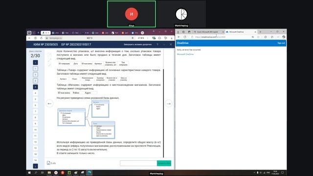 Запись встречи 17.04.2025 18-58-42 - запись