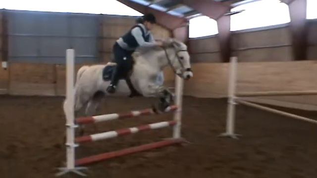 Rico hoppträning 13/2 2010 смотреть онлайн