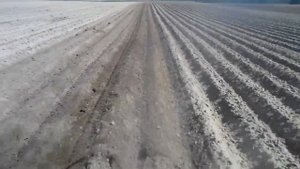 Прополка ЁЖИКАМИ.!!! Самодельный трактор.