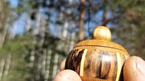 Шкатулка в весеннем лесу на сгоревшей сосне