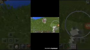 Как приручить и назвать волка в майнкрафте пе 0.14