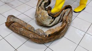 The hard way of an old carpet to cleanliness: from crumpled and dirty to clean and fresh!