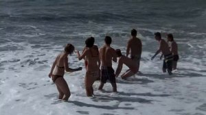 морские котики