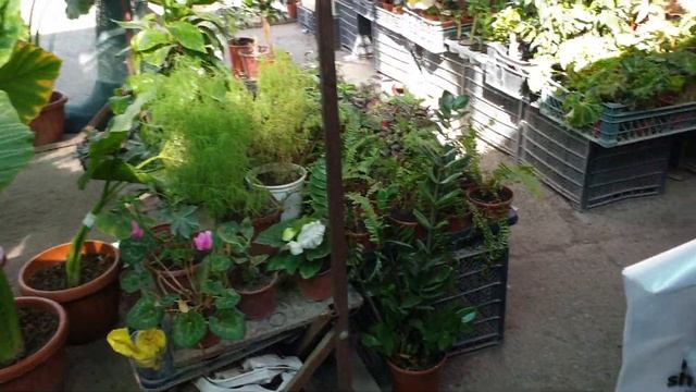 Бишкек гүл базар смотреть онлайн