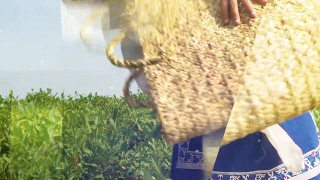 ASTARAÇAY REKLAM 9.02.2018 смотреть онлайн