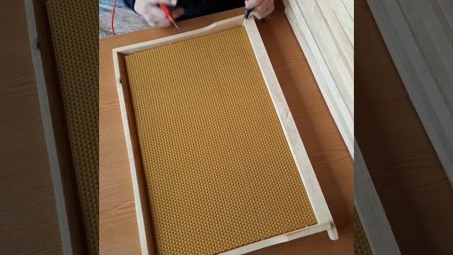 Подготовительные работы на пасеке