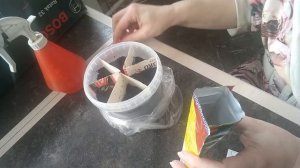 Выращиваем рассаду ранней капусты