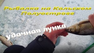 Рыбалка на Кольском Полуострове. В поиске сига. Рыбалка на Имандре.