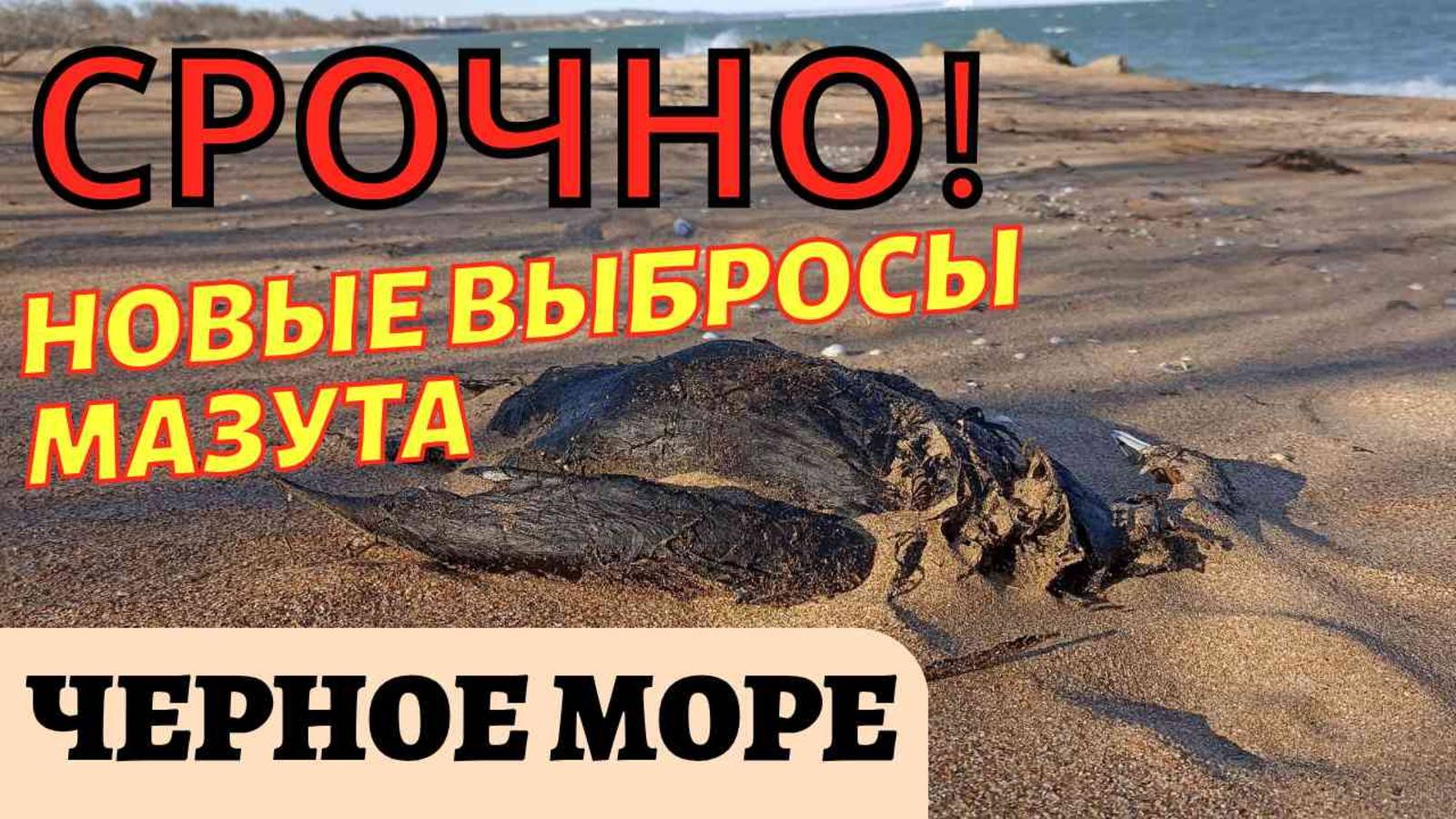 Срочные новости из Крыма! Опять выбросы мазута на пляжах Черного моря на Керченском полуострове.