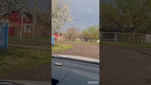 Матаня. Жизнь на Кубани.