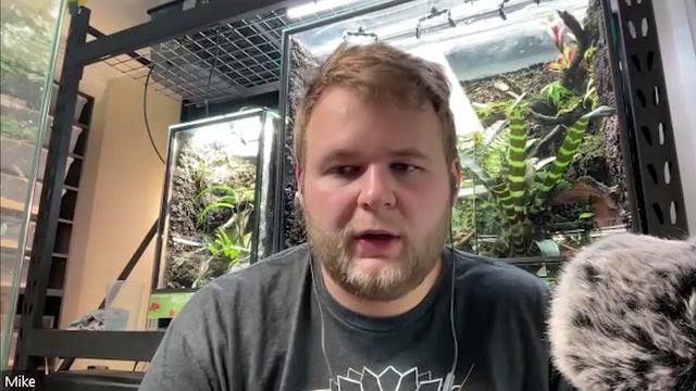 Wild Poison Dart Frogs! смотреть онлайн