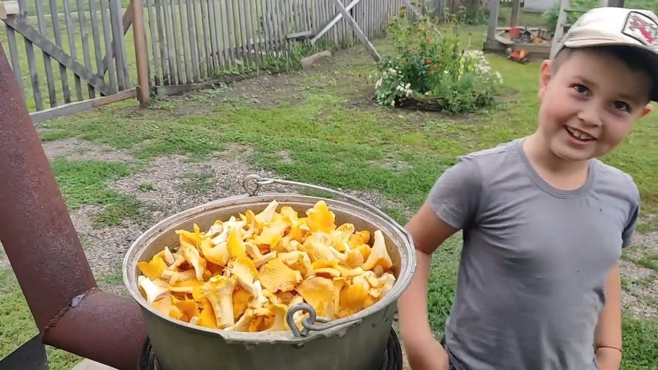 Остатки смородины // Обрезка томатов и огурцов // Снова грибы☺️